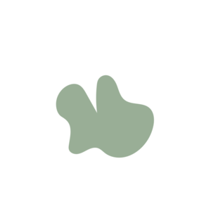 563335e7-placeholder-1770020241