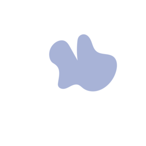 7b5288a5-placeholder-1770054009