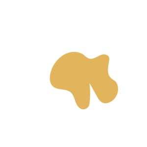 A433e9ef-placeholder-1771910266