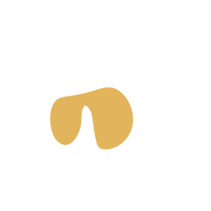 Ba4a948e-placeholder-1770049745