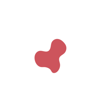 Fdec33c8-placeholder-1770054837