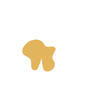 19266c02-placeholder-1770016140