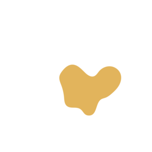 21ebb6fb-placeholder-1770019369