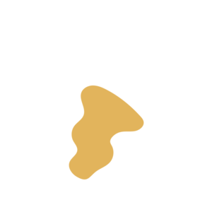 C1bcf3ee-placeholder-1770008414