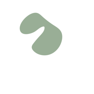 Ce273ac9-placeholder-1770026880