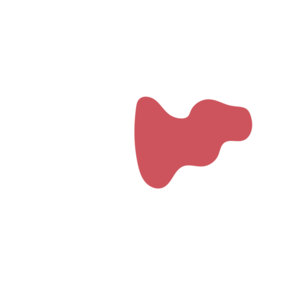 68664b10-placeholder-1770030614