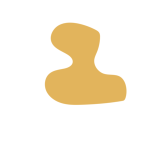 C16e0a90-placeholder-1770018708