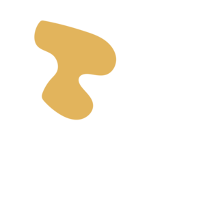 E37c3412-placeholder-1770026308