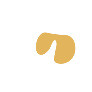 D35416ae-placeholder-1770056326