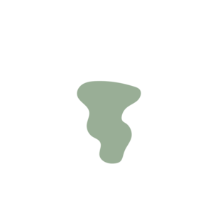 001fa0f5-placeholder-1770033041