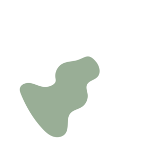 A0d86abe-placeholder-1770021685