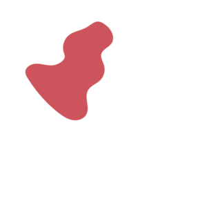 4e4dddfd-placeholder-1770007017