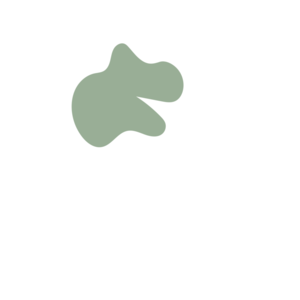 417bc758-placeholder-1770054006