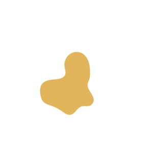 41279737-placeholder-1769193721