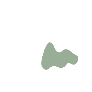 218dbfa4-placeholder-1770006278