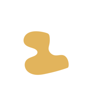 72ab967f-placeholder-1770005374