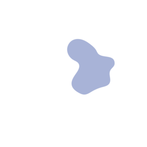 C390c116-placeholder-1770013016