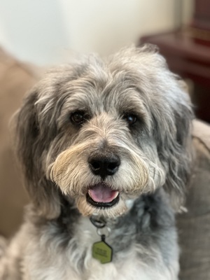 Yoosunlee03-1687019443