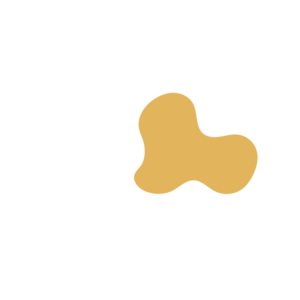 A3e79569-placeholder-1770022079