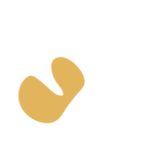 73061ecd-placeholder-1770026983