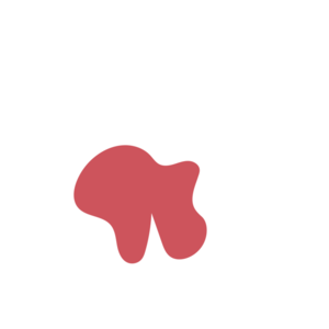 0021a9a0-placeholder-1769023825