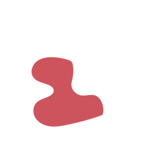 15ec8344-placeholder-1770020519