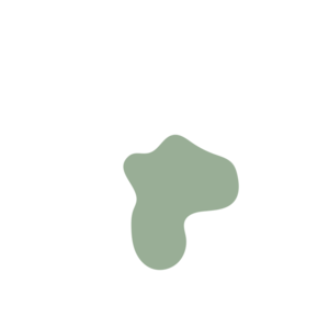 0f2b10a1-placeholder-1770009007