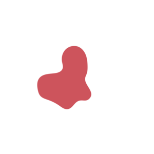 E50f0810-placeholder-1770015351