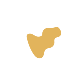 F9d1eabe-placeholder-1770009009