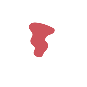 Ce394dcd-placeholder-1770021917