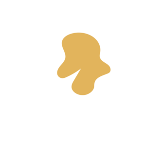 290b8896-placeholder-1770009404