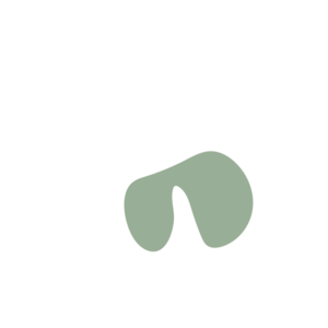 5af569dc-placeholder-1770056257