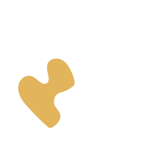 5b7a3fa1-placeholder-1770014205