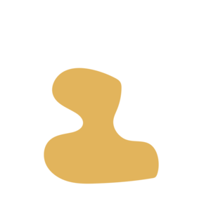 Fe9b52d7-placeholder-1770032147