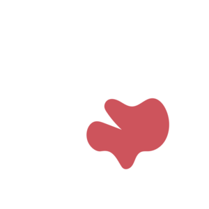 55928a73-placeholder-1769020886