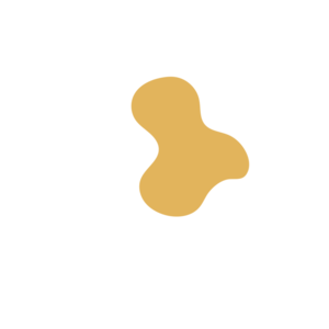 D61fedb9-placeholder-1770015352