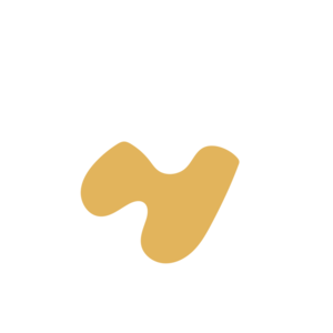 A6bb2a23-placeholder-1770010662