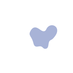 81447b6f-placeholder-1770005117