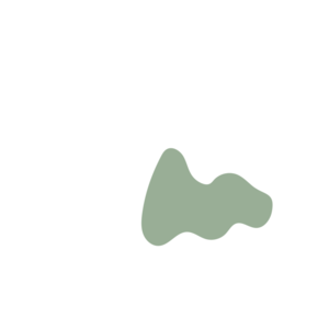 0245aaaf-placeholder-1770052027