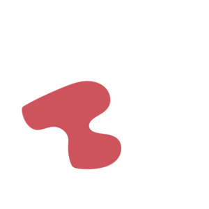 F9784199-placeholder-1770021870