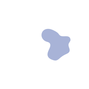 73ceb491-placeholder-1770019852