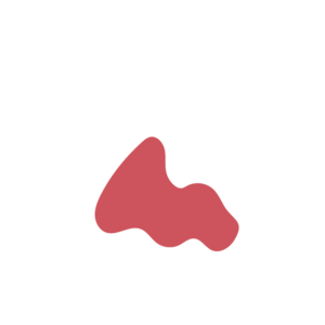 Fa99a6fd-placeholder-1770009186