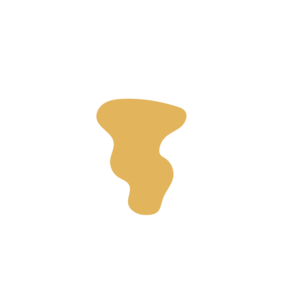 E5ab52d3-placeholder-1770017549