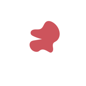 D621598e-placeholder-1770011078