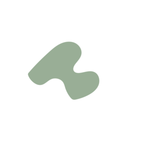 Ba5d7a32-placeholder-1770053252