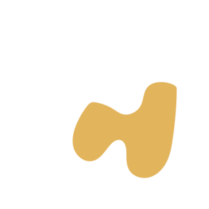 2835c5c2-placeholder-1770010122