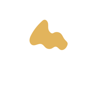 D547a64a-placeholder-1770013712