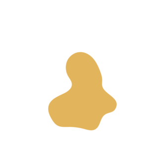 0fb732ae-placeholder-1770007021