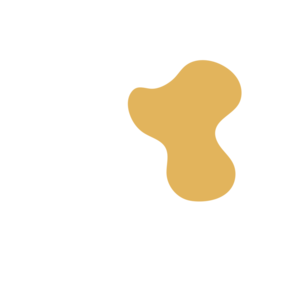 5029aa37-placeholder-1770009508