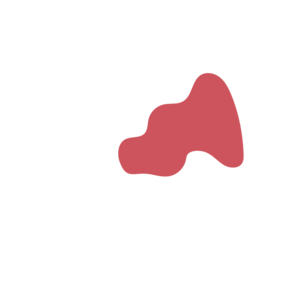 B08fe391-placeholder-1769113419